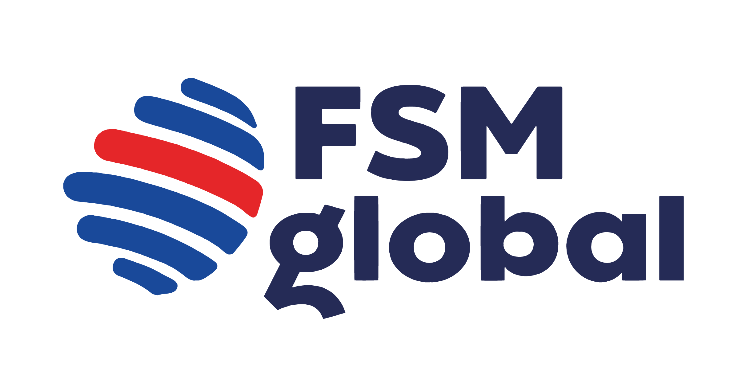 fsm global Logo